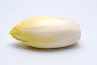 Endive