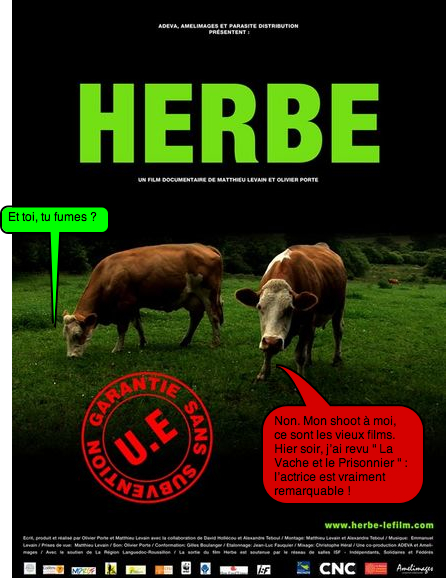 HERBE 18 FÉVRIER5