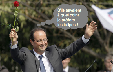 Hollande-rose_pics_1390
